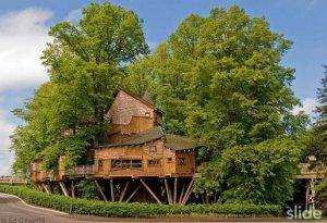Το μεγαλύτερο σπίτι σε δέντρα