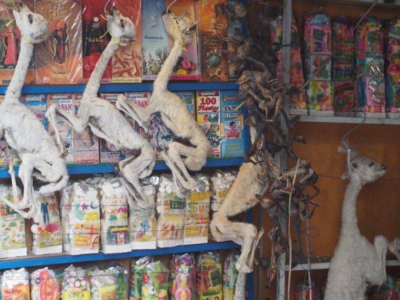 Perierga.gr - Η παράξενη αγορά των μαγισσών της Βολιβίας