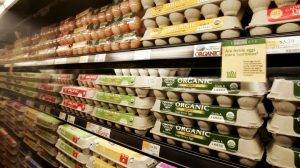 Γιατί στις ΗΠΑ βάζουν τα αυγά στο ψυγείο;