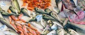 perierga.gr - Fish Guide: Î ÏÏο καλά γνÏÏίζεÏε Ïα ελληνικά ÏαÏικά;