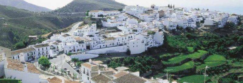 Perierga.gr - ÎÎ¹Î± Î³ÏÎ±ÏÎ¹ÎºÎ® Â«Î»ÎµÏÎºÎ® ÏÏÎ»Î·Â» ÏÏÎ·Î½ ÎÎ½Î´Î±Î»Î¿ÏÏÎ¯Î±