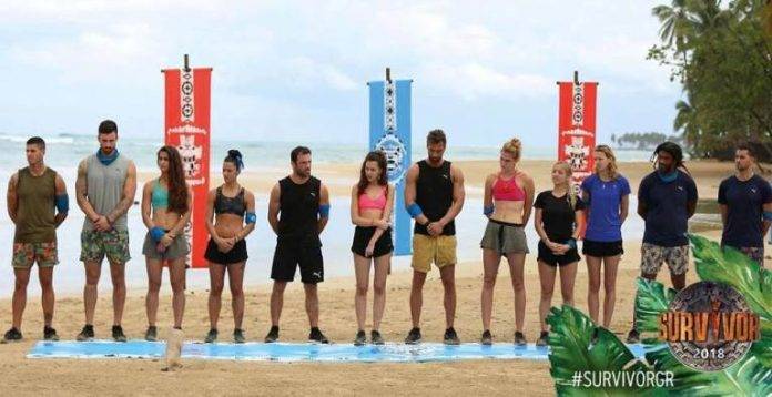 maxites-survivor-2018.jpg