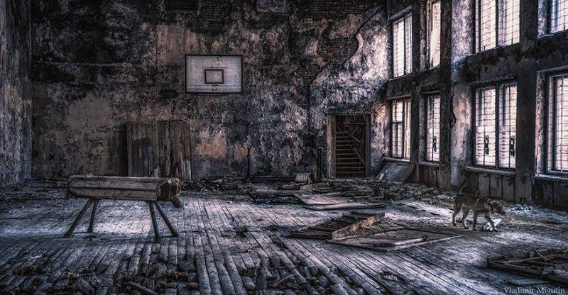 Perierga.gr - Απόκοσμες εικόνες από το σημερινό Τσέρνομπιλ
