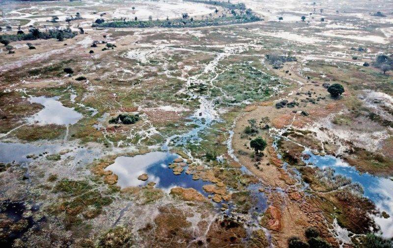 Perierga.gr - ÎÎ¿Î½Î±Î´Î¹ÎºÎ¿Î¯ ÏÎ´ÏÎ¿Î²Î¹ÏÏÎ¿ÏÎ¿Î¹ Î¼Îµ Î¬Î³ÏÎ¹Î± Î¿Î¼Î¿ÏÏÎ¹Î¬