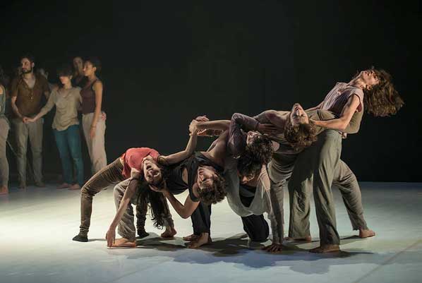 compania-sharon-fridman