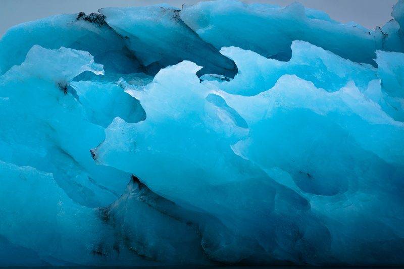 Perierga.gr - Οι νικήτριες φωτογραφίες του National Geographic για το 2017
