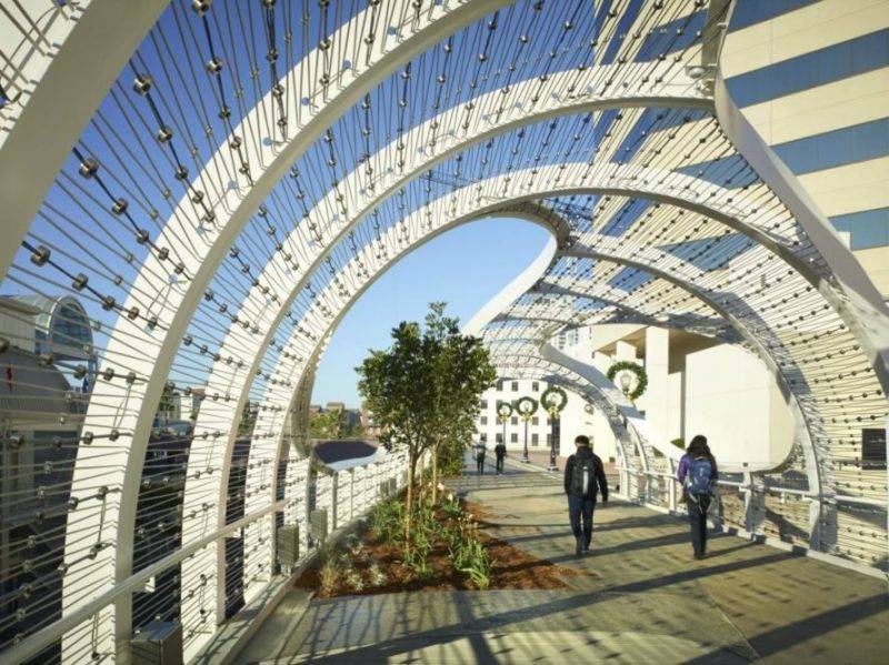 Perierga.gr - ÎÎ¹Î± Î³Î­ÏÏÏÎ± ÎµÎ¼ÏÎ½ÎµÏÏÎ¼Î­Î½Î· Î±ÏÏ ÏÎ± ÎºÏÎ¼Î±ÏÎ± ÏÎ·Ï Î¸Î¬Î»Î±ÏÏÎ±Ï