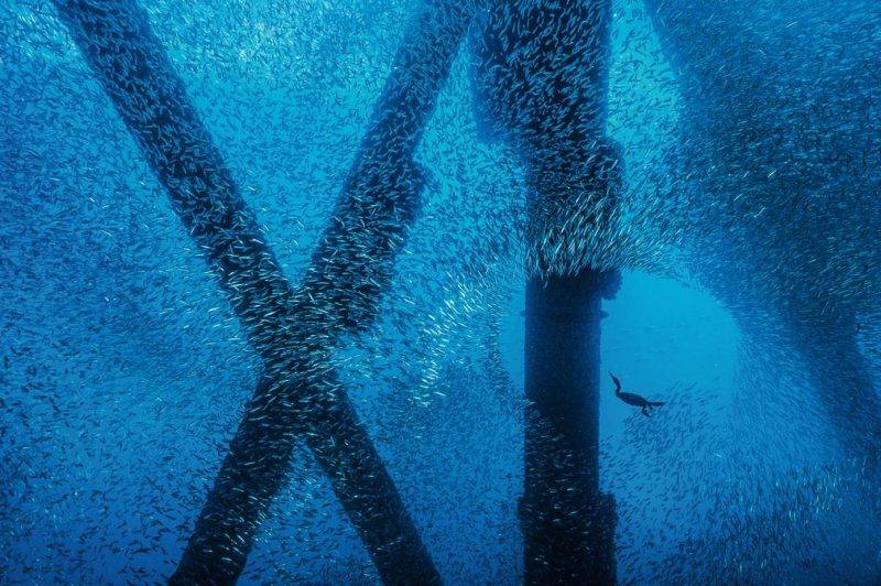  Pertierga.gr - Î Î¼Î±Î³ÎµÎ¯Î± ÏÎ¿Ï Î¸Î±Î»Î¬ÏÏÎ¹Î¿Ï ÎºÏÏÎ¼Î¿Ï ÏÎµ ÏÏÎ¿Î²ÏÏÏÎ¹ÎµÏ Î»Î®ÏÎµÎ¹Ï