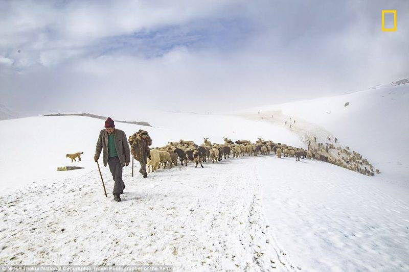 Perierga.gr - Οι πρώτες φωτογραφίες του National Geographic για το διαγωνισμό φωτογραφίας του 2018