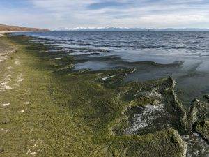Perierga.gr - Γιατί κινδυνεύει να μετατραπεί σε βάλτο η λίμνη Βαϊκάλη;