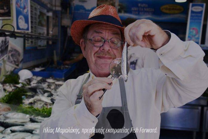 fishguide-home-mamalakis-1