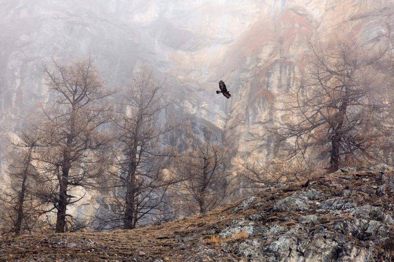 Perierga.gr - ÎÎ¹ÎºÎ®ÏÏÎ¹ÎµÏ ÏÏÏÎ¿Î³ÏÎ±ÏÎ¯ÎµÏ ÏÎ·Ï ÏÏÏÎ·Ï ÏÏÎ¿ Î´Î¹Î±Î³ÏÎ½Î¹ÏÎ¼Ï ÏÏÏÎ¿Î³ÏÎ±ÏÎ¯Î±Ï GTD