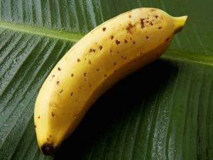 Perierga.gr - Έρχονται οι μπανάνες που θα μπορούμε να τρώμε με τη φλούδα
