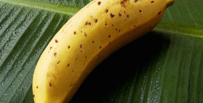 Perierga.gr - Έρχονται οι μπανάνες που θα μπορούμε να τρώμε με τη φλούδα