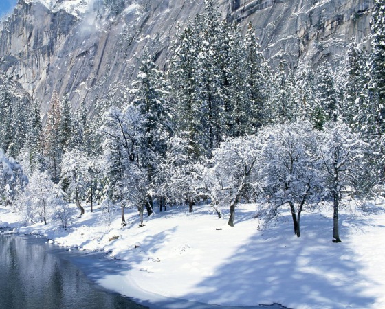 winter