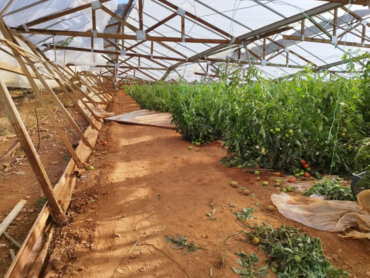 Κρήτη ισχυροί άνεμοι ζημιές