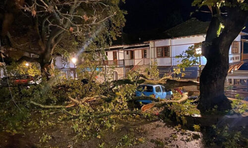 Μέτσοβο πτώσεις δέντρων