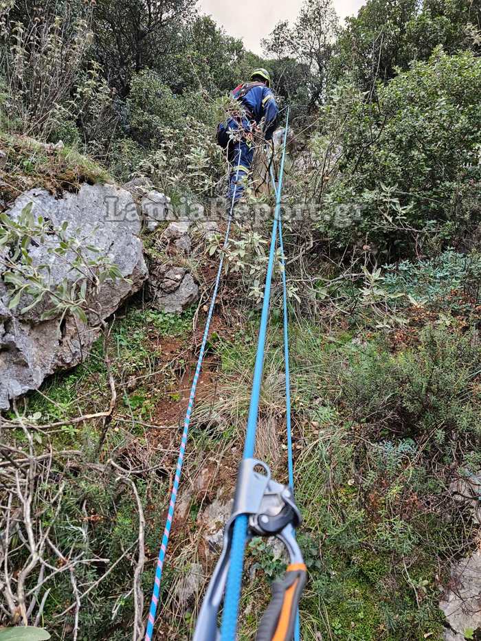 επιχείρηση απεγκλωβισμού κυνηγόσκυλου από γκρεμό 50 μέτρων Φθιώτιδα