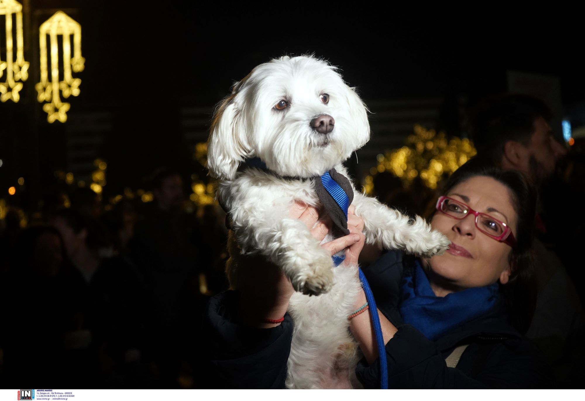 Σύνταγμα πορεία χάσκι Αράχωβα