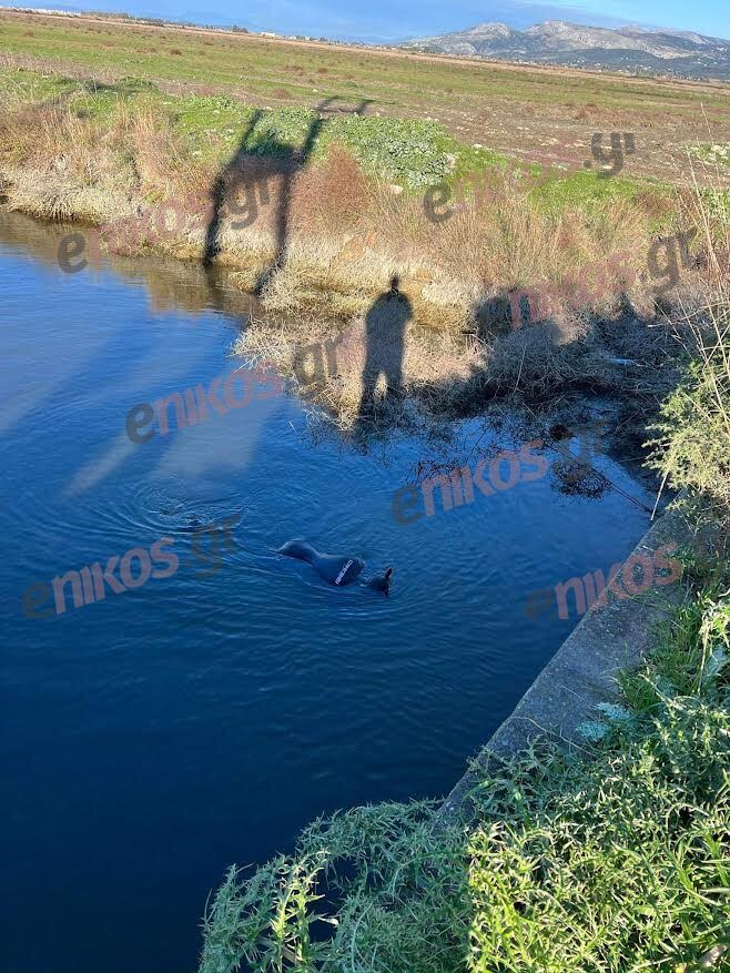 Δύτης Μεσολόγγι