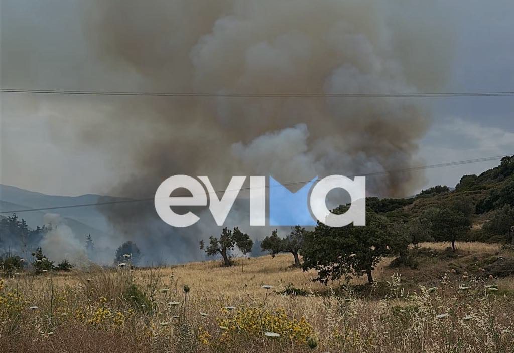Εύβοια Φωτιά
