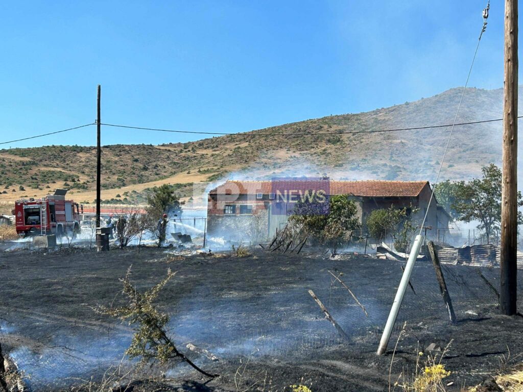 Φωτιά Καστοριά