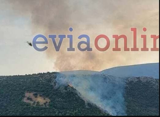 EYBOIA