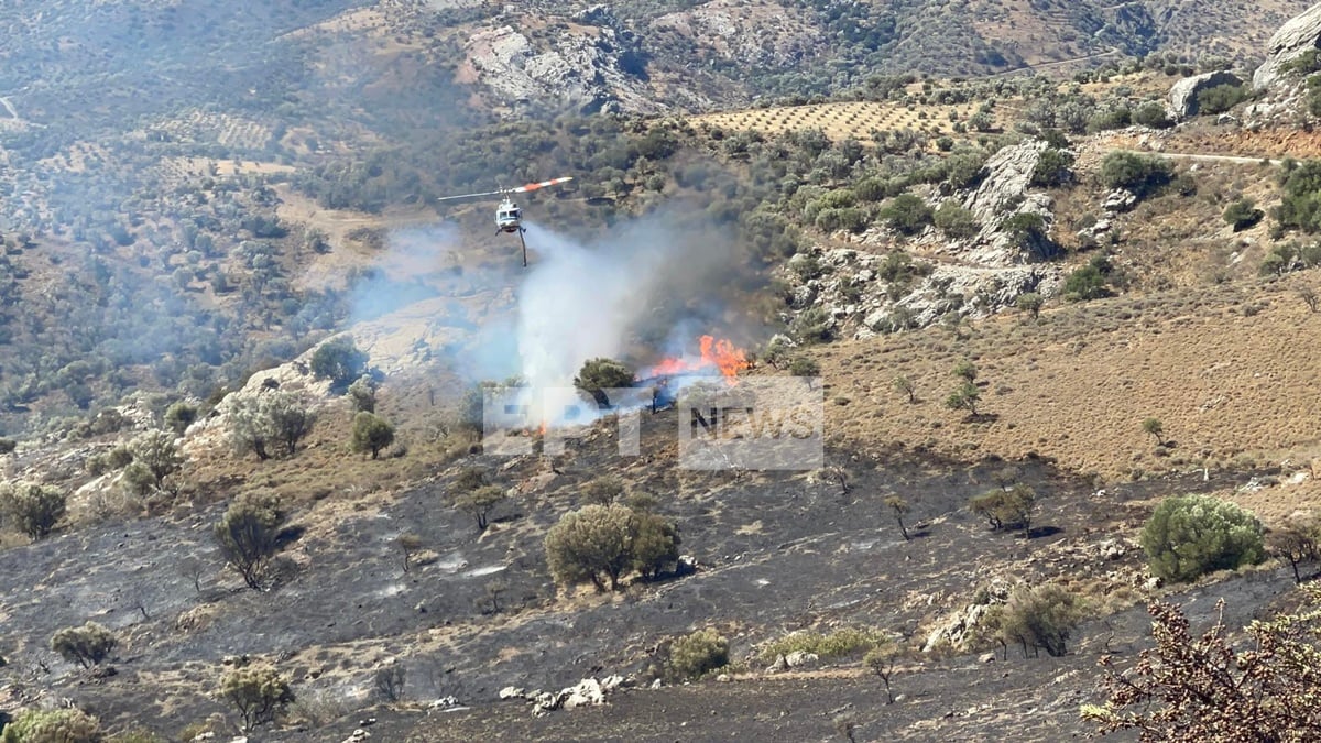 Φωτιά Ρέθυμνο