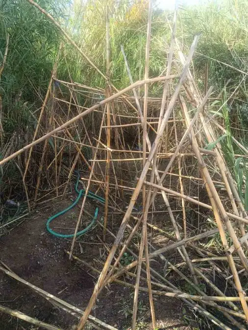 27.10.2025 09.00 peloponnisou enimerwtiko (2) (1)