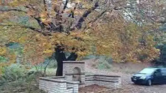 Κορομηλιά Μεσσήνης