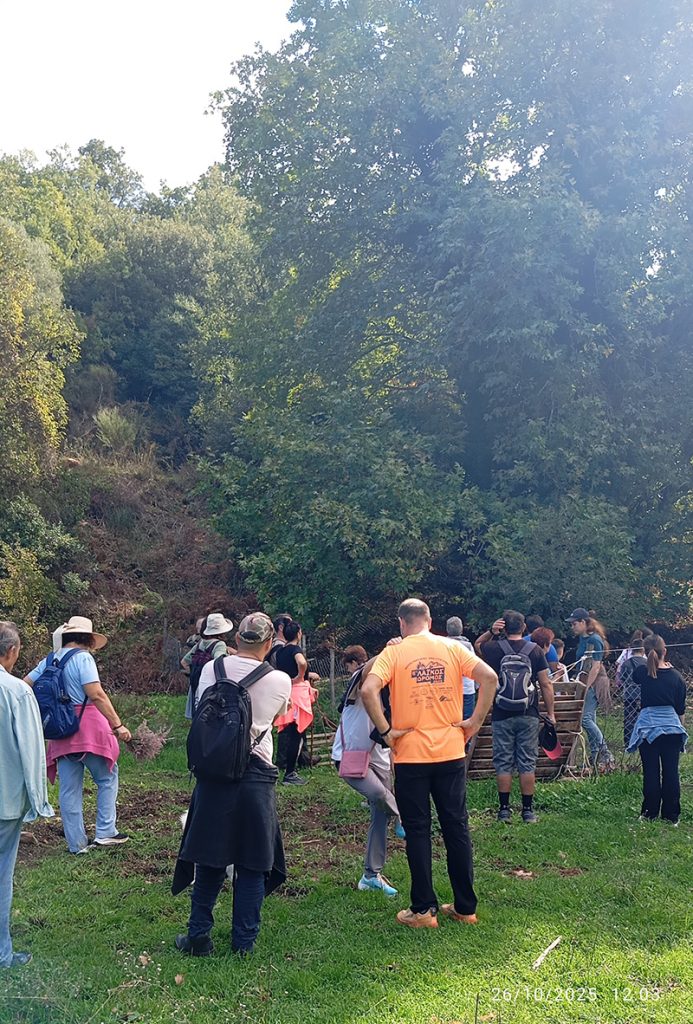 Τα Γεράκια στην Πλατανοβρυση  Δήμου Μεσσήνης