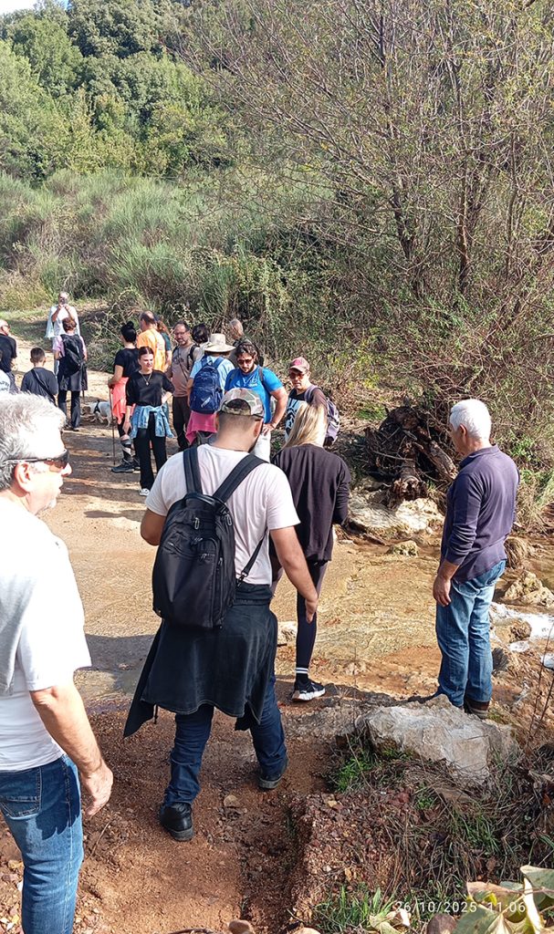 Τα Γεράκια στην Πλατανοβρυση  Δήμου Μεσσήνης