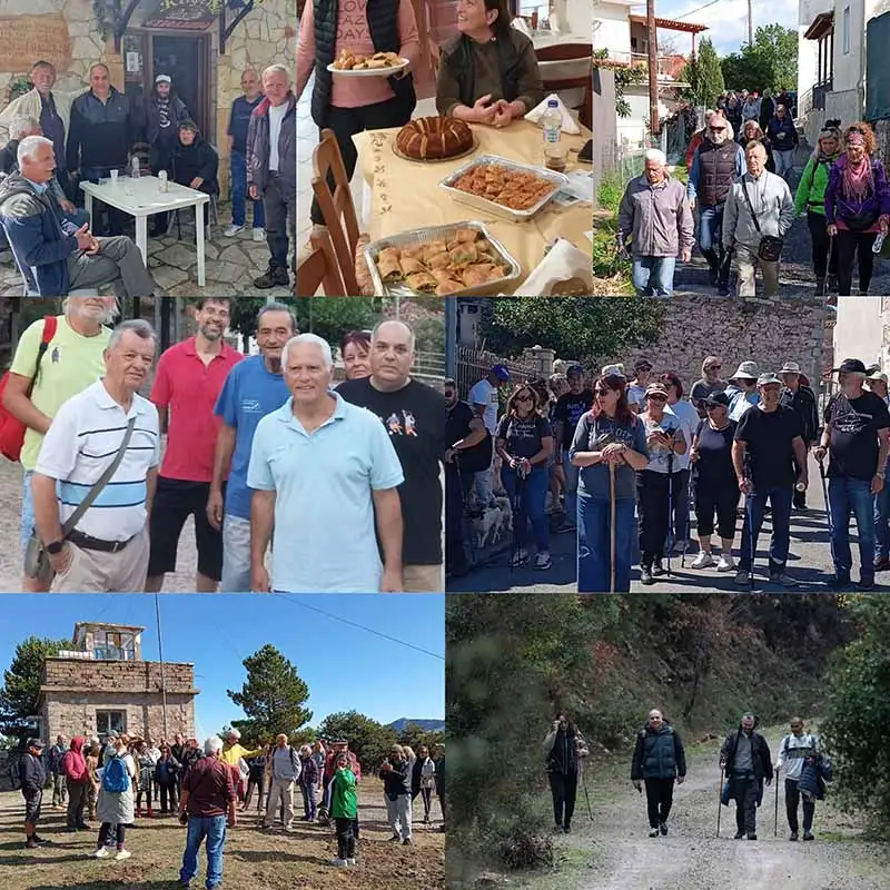 Κοντοβούνια