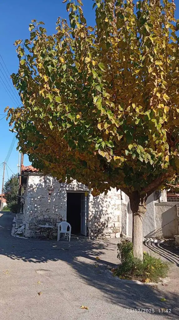 Μίλα Μεσσηνίας