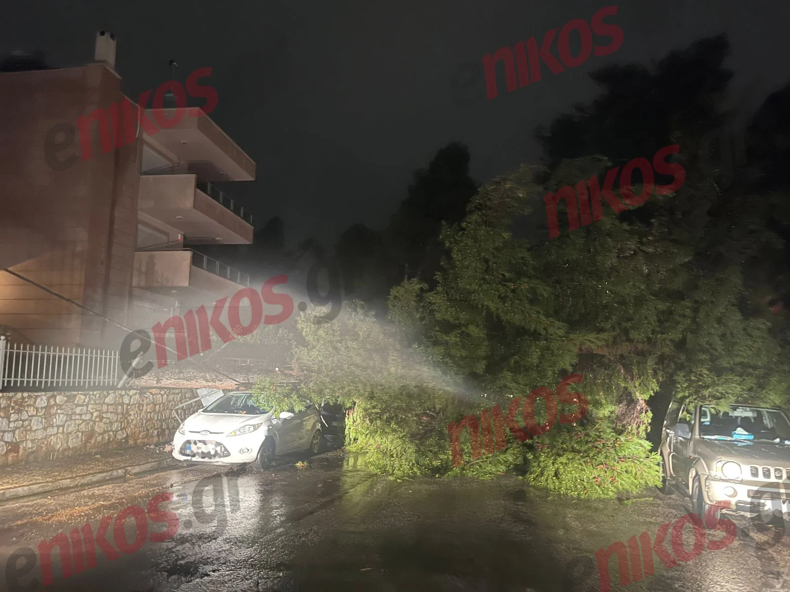 Δροσιά, Κακοκαιρία, πτώση, δέντρο