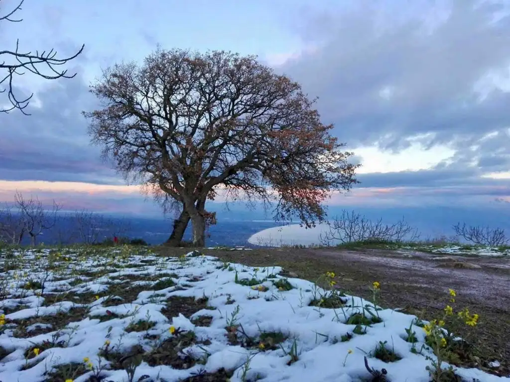 Φωτογραφία Λυκόδημο