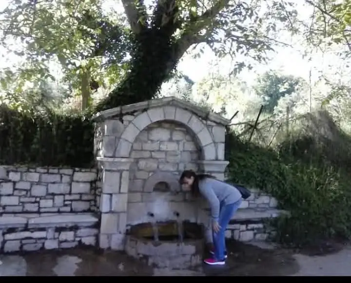 Κοντοβούνια Μεσσηνίας