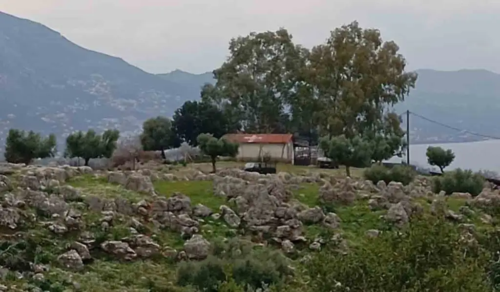 Ο Βασίλης, ο τελευταίος βοσκός δίπλα στην Καλαμάτα, και μια ζωή που αρνήθηκε να αλλάξει