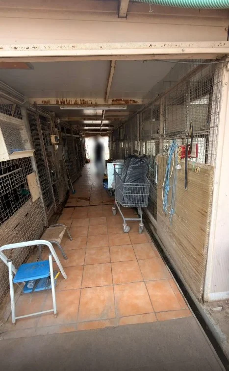 ΖΩΑ ΑΜΠΕΛΟΚΗΠΟΙ