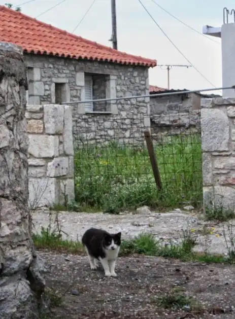 Λυκόδημο